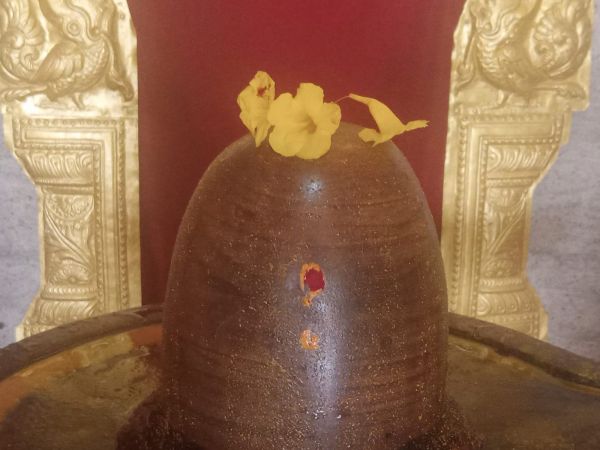 WhatsApp Image 2022-03-14 at 09.13.52.jpeg