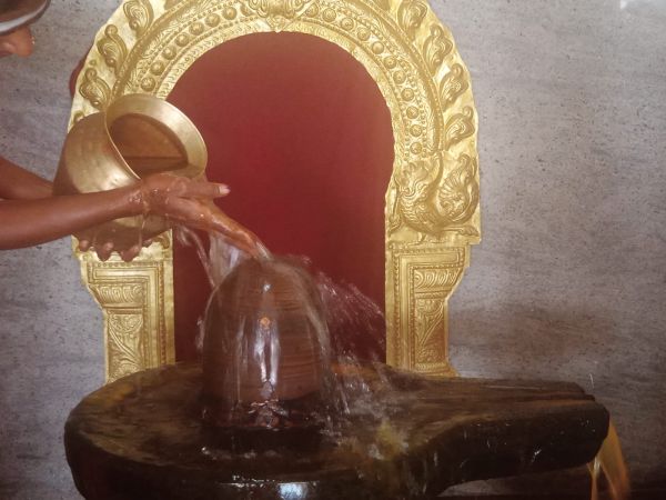 WhatsApp Image 2022-03-14 at 09.13.54 (1).jpeg