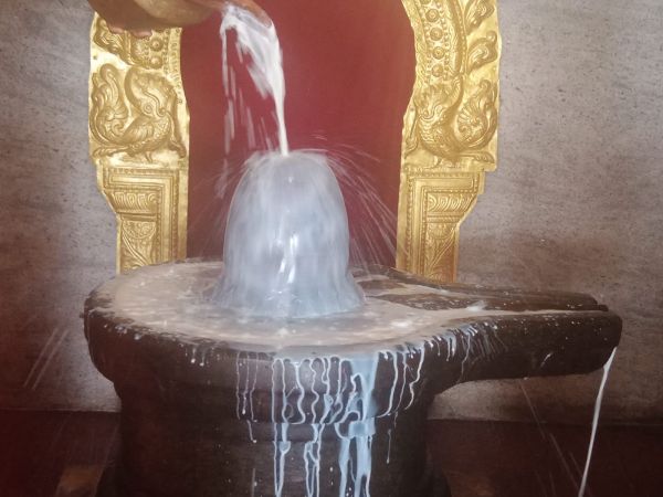 WhatsApp Image 2022-03-14 at 09.13.55.jpeg