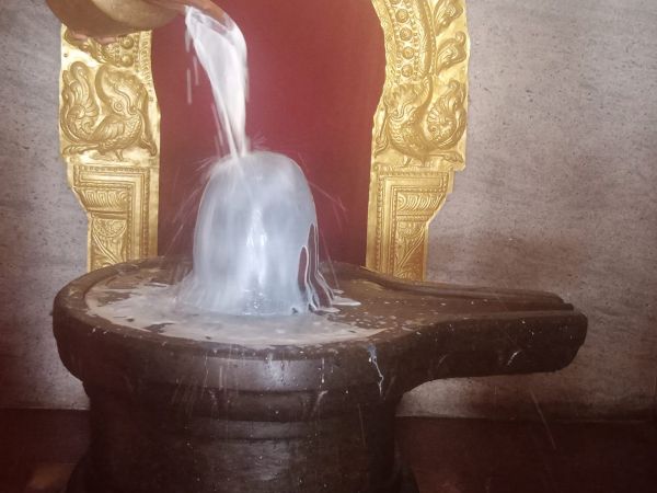 WhatsApp Image 2022-03-14 at 09.13.56 (1).jpeg