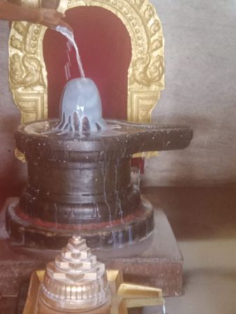 WhatsApp Image 2022-03-14 at 09.13.57 (1).jpeg