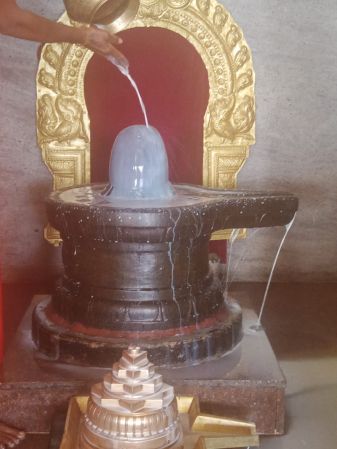 WhatsApp Image 2022-03-14 at 09.13.58 (2).jpeg