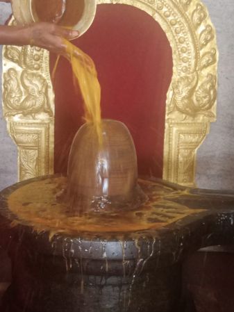 WhatsApp Image 2022-03-14 at 09.13.59.jpeg