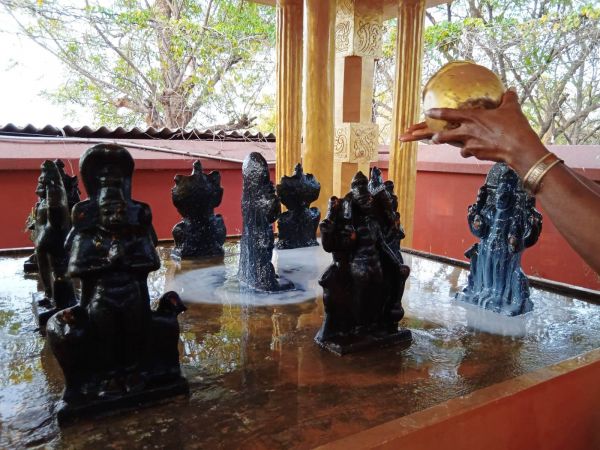 WhatsApp Image 2022-03-15 at 17.47.39.jpeg