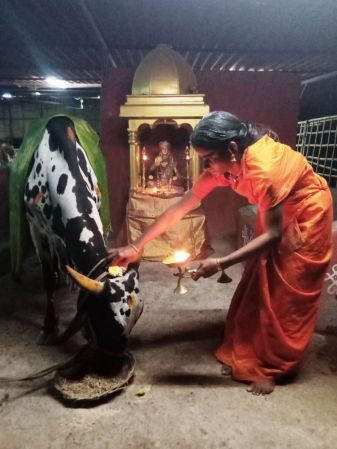 WhatsApp Image 2022-03-15 at 19.29.42 (1).jpeg