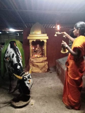 WhatsApp Image 2022-03-15 at 19.29.43.jpeg