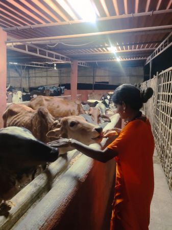 WhatsApp Image 2022-04-02 at 20.04.04.jpeg