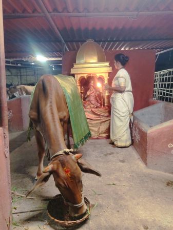 WhatsApp Image 2022-04-02 at 20.04.09.jpeg