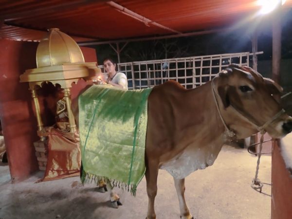 WhatsApp Image 2022-04-02 at 20.04.11 (1).jpeg