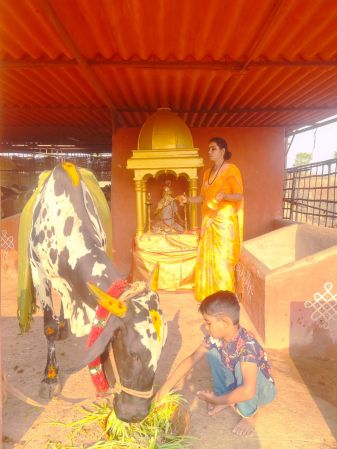 WhatsApp Image 2022-04-03 at 12.01.10 (2).jpeg