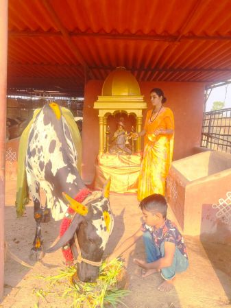 WhatsApp Image 2022-04-03 at 12.01.11.jpeg