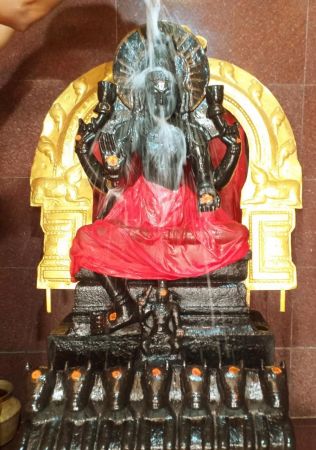 WhatsApp Image 2022-04-24 at 3.29.24 PM (1).jpeg