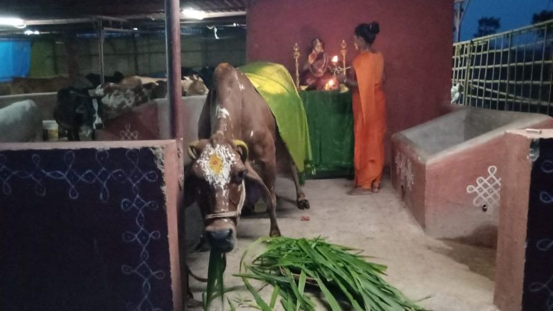 WhatsApp Image 2022-05-20 at 6.53.45 PM (1).jpeg