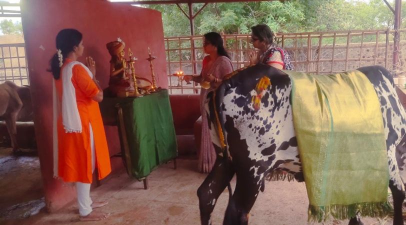 WhatsApp Image 2022-06-19 at 7.21.05 PM (1).jpeg