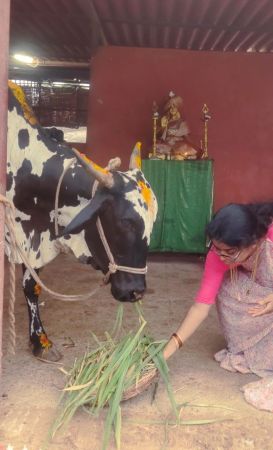 WhatsApp Image 2022-06-19 at 7.21.08 PM.jpeg