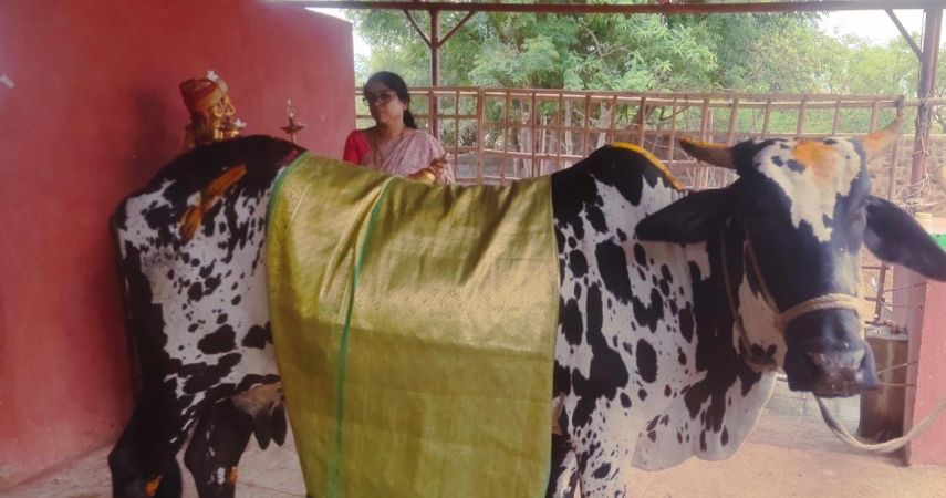 WhatsApp Image 2022-06-19 at 7.21.09 PM.jpeg