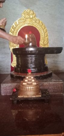 WhatsApp Image 2022-06-20 at 11.15.08 AM.jpeg