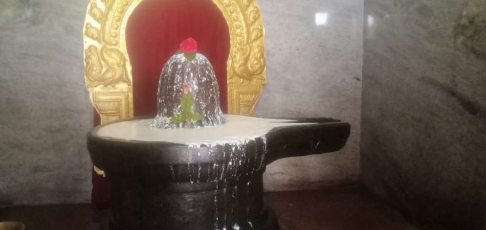 WhatsApp Image 2022-06-20 at 11.17.44 AM (2).jpeg