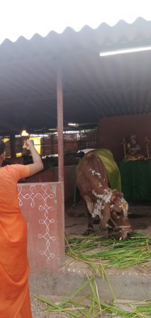 WhatsApp Image 2022-06-20 at 6.31.28 PM.jpeg