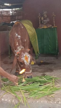 WhatsApp Image 2022-06-20 at 6.31.31 PM.jpeg