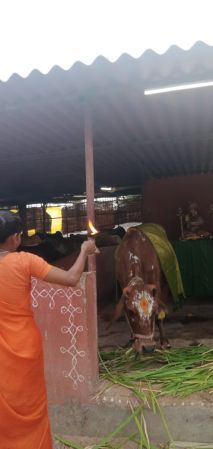 WhatsApp Image 2022-06-20 at 6.31.32 PM (1).jpeg