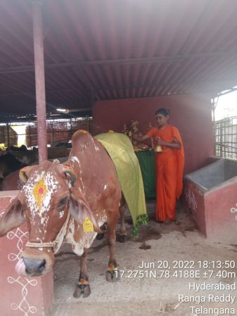 WhatsApp Image 2022-06-20 at 6.31.42 PM (1).jpeg