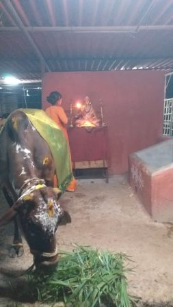 WhatsApp Image 2022-11-16 at 19.49.38.jpeg