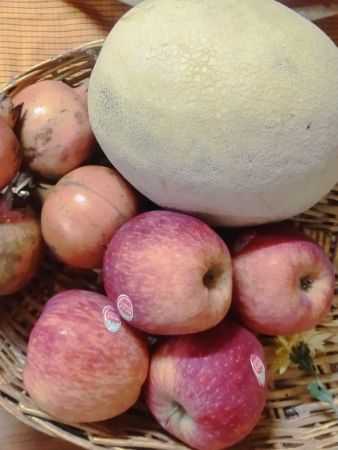 WhatsApp Image 2022-11-25 at 10.21.41.jpeg