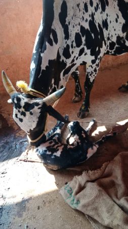 WhatsApp Image 2022-11-25 at 10.40.01.jpeg