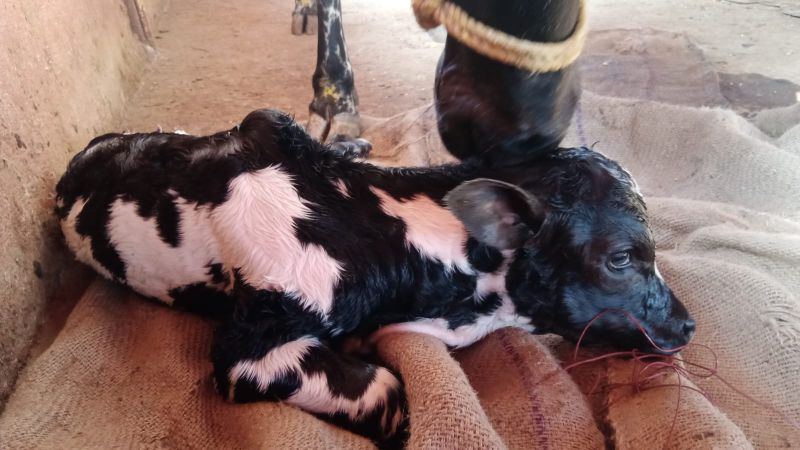 WhatsApp Image 2022-11-25 at 10.47.32.jpeg