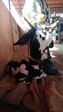 WhatsApp Image 2022-11-25 at 10.47.46.jpeg