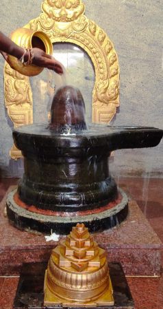 WhatsApp Image 2022-11-27 at 19.34.09.jpeg