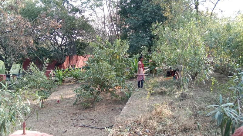 WhatsApp Image 2022-12-06 at 15.40.13.jpeg