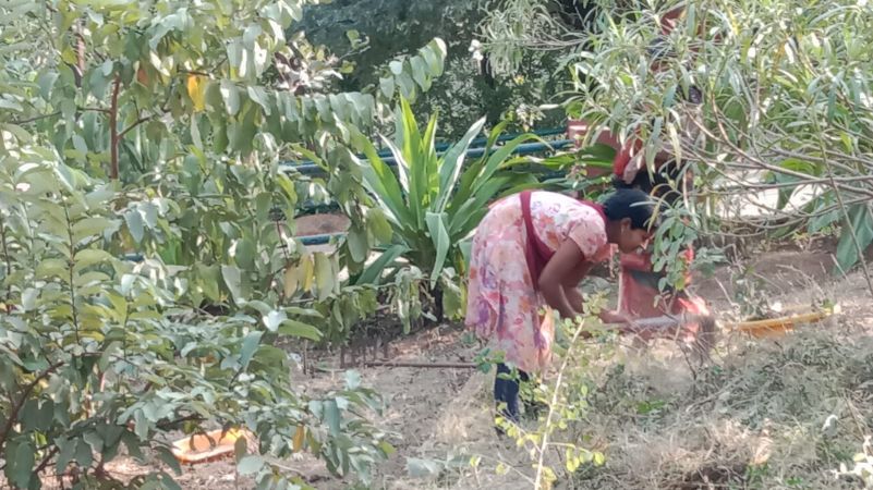 WhatsApp Image 2022-12-06 at 15.40.21.jpeg