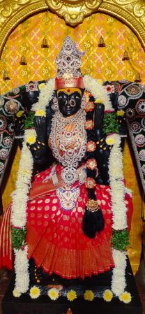 WhatsApp Image 2022-12-11 at 16.31.47.jpeg