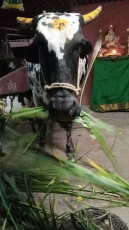 WhatsApp Image 2022-12-23 at 22.37.18.jpeg