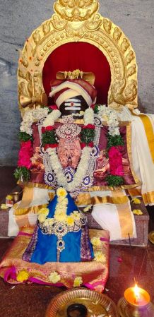 WhatsApp Image 2023-01-03 at 16.36.27 (1).jpeg