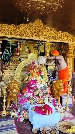 WhatsApp Image 2023-01-03 at 20.48.50.jpeg