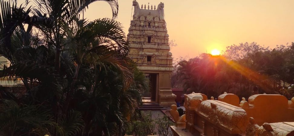 WhatsApp Image 2023-01-15 at 07.13.05.jpeg