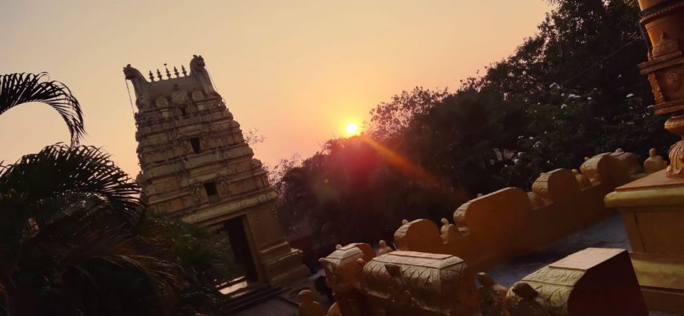 WhatsApp Image 2023-01-15 at 07.13.07 (1).jpeg