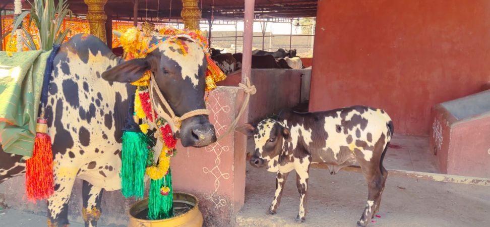 WhatsApp Image 2023-01-16 at 14.06.59.jpeg