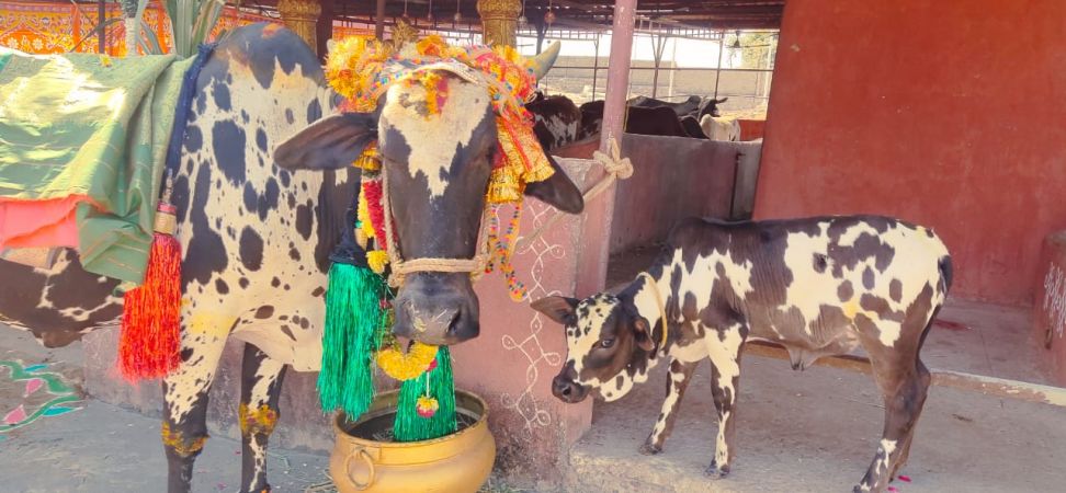 WhatsApp Image 2023-01-16 at 14.07.00.jpeg