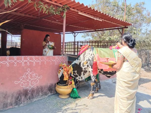 WhatsApp Image 2023-01-16 at 18.46.59.jpeg