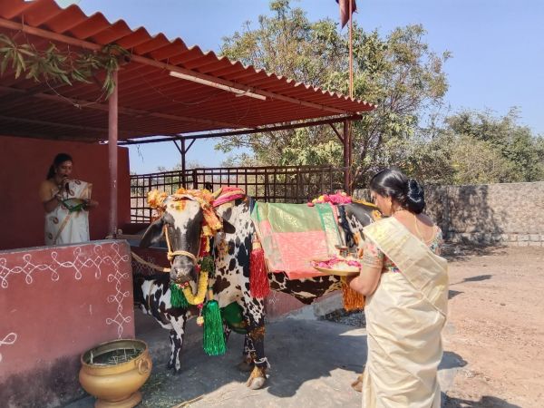 WhatsApp Image 2023-01-16 at 18.47.01 (2).jpeg