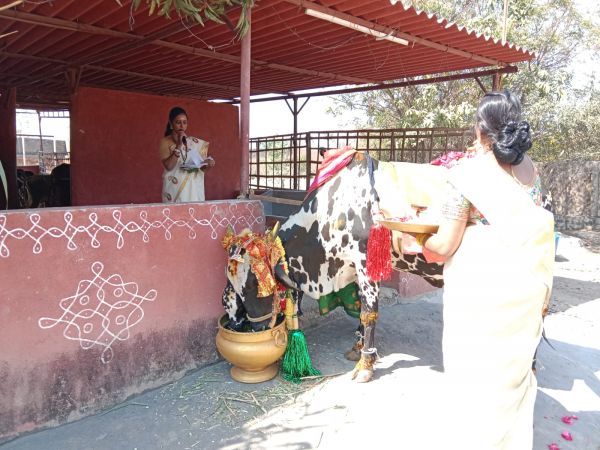 WhatsApp Image 2023-01-16 at 18.49.20 (2).jpeg