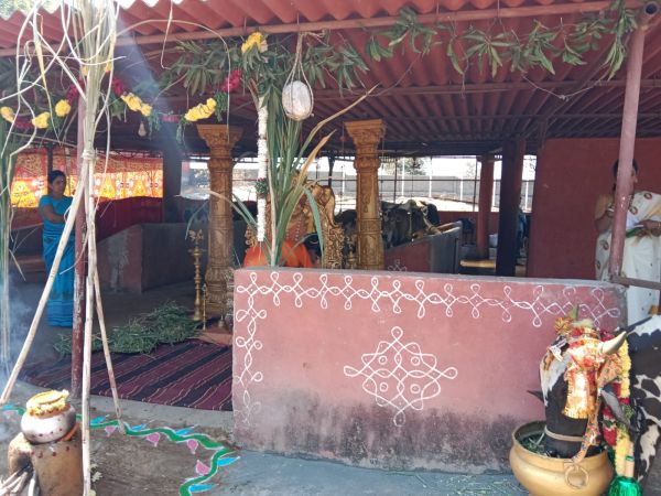 WhatsApp Image 2023-01-16 at 18.49.21.jpeg