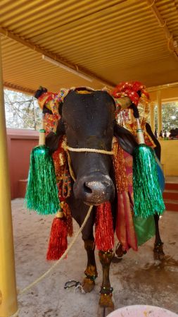 WhatsApp Image 2023-01-16 at 23.45.53.jpeg