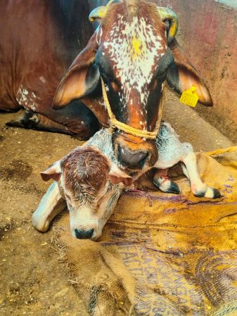 WhatsApp Image 2023-01-23 at 19.09.42 (1).jpeg