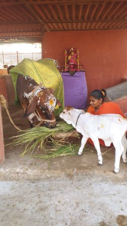 WhatsApp Image 2023-01-25 at 17.09.58 (1).jpeg