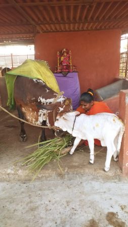 WhatsApp Image 2023-01-25 at 17.09.59.jpeg